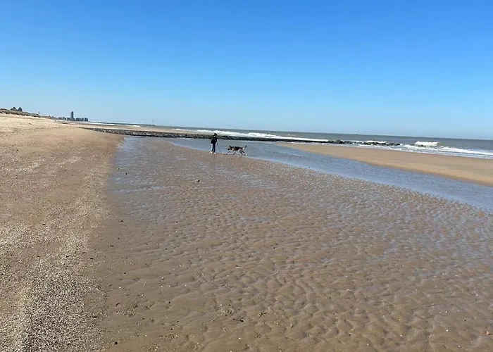Blutsyde Promenade Biaritz 0108 Lägenhet Bredene